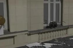 华体会官网-战果窗口说词能改编，岩佳航禁赛首周格局璇稳